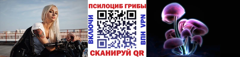 Псилоцибиновые грибы Psilocybe  Липецк 