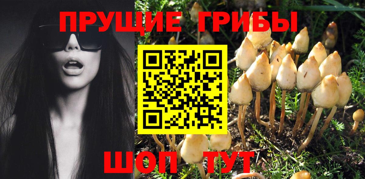 Псилоцибиновые грибы GOLDEN TEACHER  Вход с VPN  Липецк 